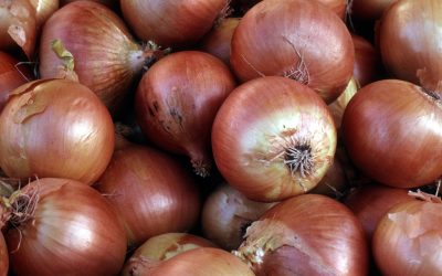 Onion Peeling Machine
