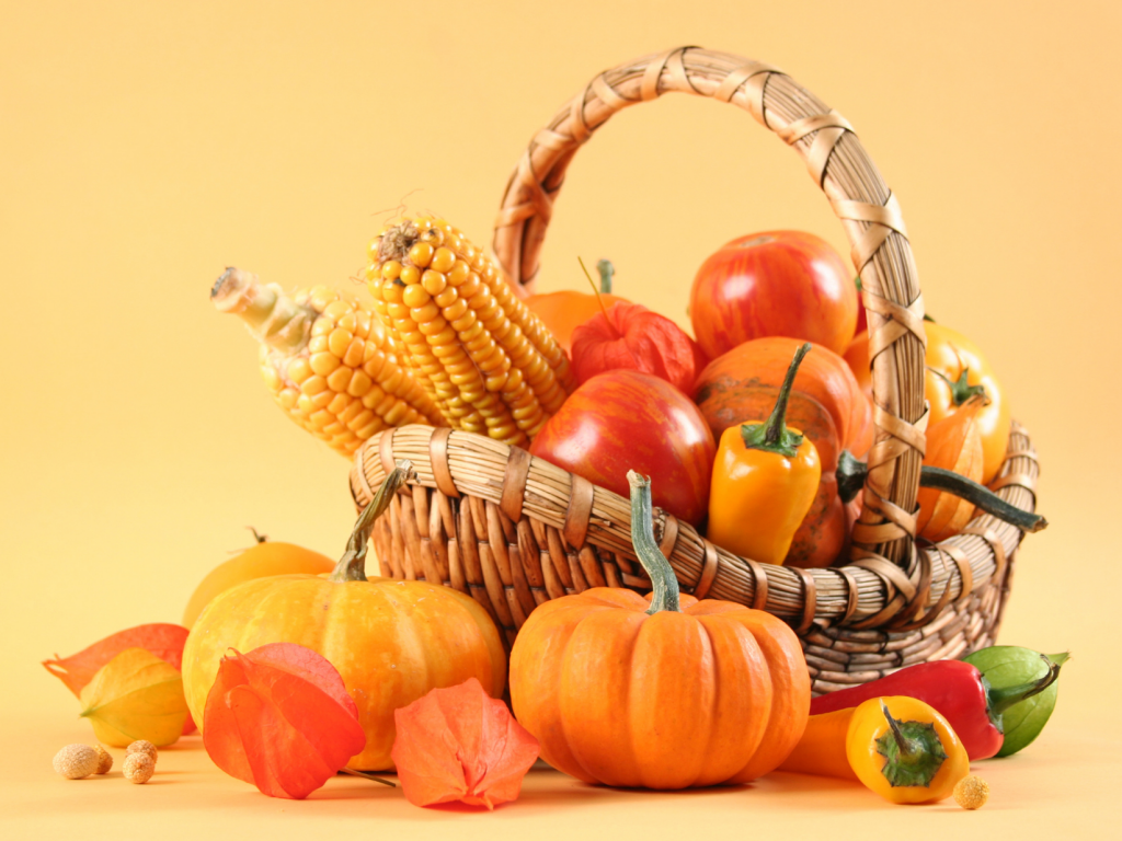 M&P Engineering Food Processing Equipment Onion Peeling Machine