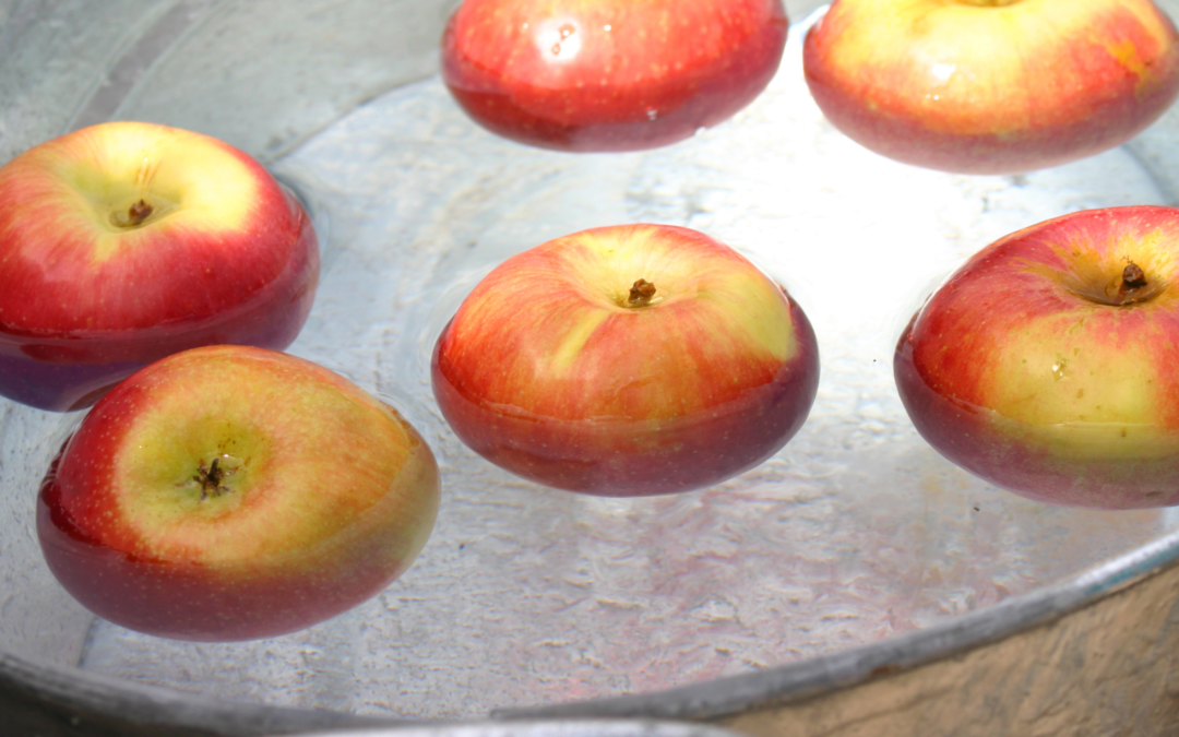 Food Processing Equipment