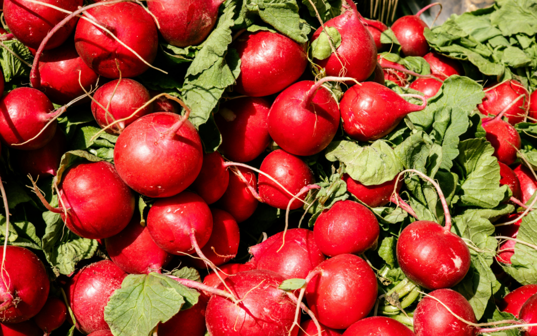 Food Processing Equipment