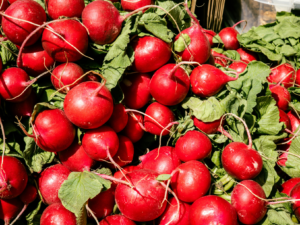 Food Processing Equipment