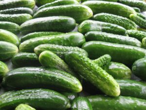 Food Processing Equipment