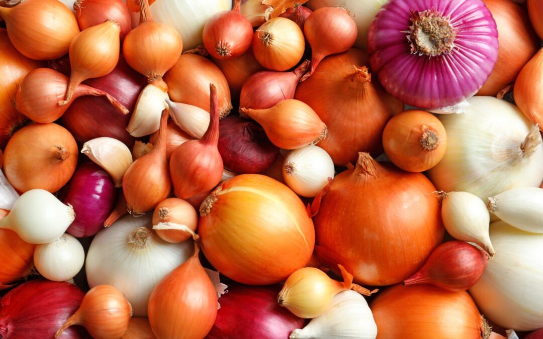 Onion Peeling Machine